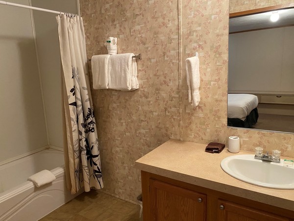 1 King Deluxe Non-Smoking Photo 4